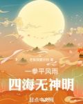 一拳平风雨四海无神明小说