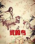 我的鸟