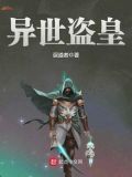 异世盗皇百度网盘