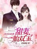 甜妻一胎双宝百度网盘