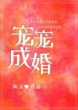 宠宠成婚周沅全文免费阅读