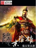 隋末阴雄 小说