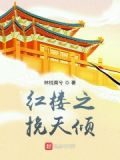 红楼之挽天倾笔趣下载