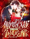 六胎后,傲娇总裁每天都在争风吃醋完整版
