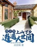 四合院上山下乡逍遥人世间李逸