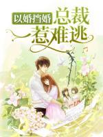 以婚挡婚总裁一惹难逃txt百度云
