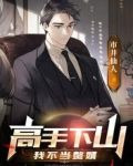 高手下山：我不当赘婿