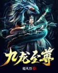 九龙至尊小说无删减