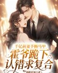 千亿前妻手撕马甲霍爷跪下认错求复合小说