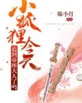 小狐狸今天追到帝座大人了吗 姝小月